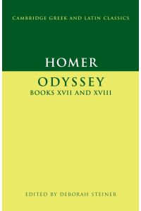 Odyssey, Books XVII-XVIII