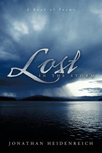 Lost in the Storm  - A Book of Poems