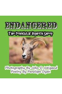 Endangered--The Peninsular Bighorn Sheep