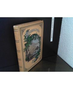 Buchholzens in Italien : Reise-Abenteuer von Wilhelmine Buchholz.   - Hrsg. von Julius Stinde