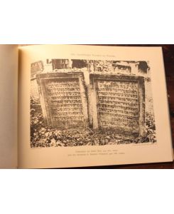 Der alte israelitische Friedhof zu Worms a. Rh. Zwölf Kunstblätter mit Vorwort von Max Levy