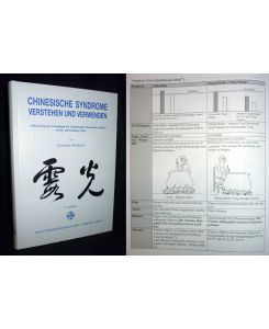 Chinesische Syndrome verstehen und verwenden. Aufbereitung der Grundlagen der Traditionellen Chinesischen Medizin in lehr- und lernbarer Form. 2. Auflage.