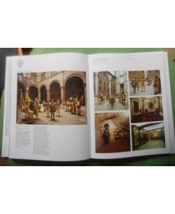 Palio.   - Storia, riti ed immagini della fiesta di Siena.