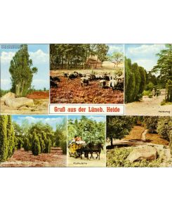 1071852 - Lüneb. Heide Heideweg-Schafstall-Postkutsche Mehrbildkarte