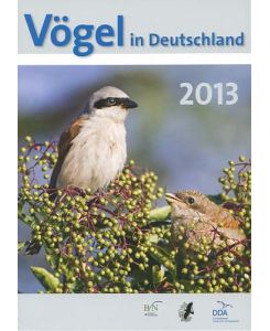 Vögel in Deutschland 2013  - [Dachverband Deutscher Avifaunisten]