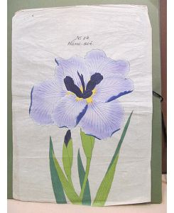 Iris Kaempferi: Hana-aoi. Original-Aquarell auf Japanpapier – offenbar als Vorlage für die Yokohoma Nursery School Co. , Ltd. für deren Mappenwerke zur Japanischen Iris.