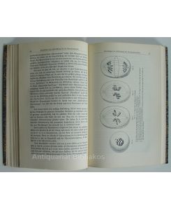 Biologische Grundlagen für Rassenkunde und Rassenhygiene. Mit 33 Abbildungen. Enthält zudem ein Literaturverzeichnis auf den S. [171]-172 sowie ein Sachregister auf den S. [173]-174.