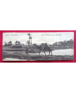 Ansichtskarte AK Cairo Landscape / Caire Paysage pres du Caire