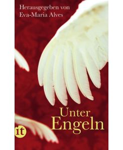 Unter Engeln (insel taschenbuch)