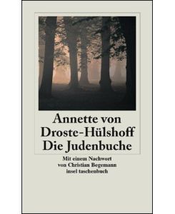 Die Judenbuche: Ein Sittengemälde aus dem gebirgichten Westfalen. (insel taschenbuch).