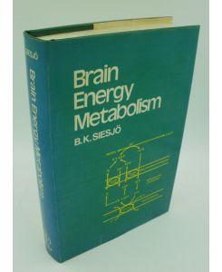 Brain Energy Metabolism.