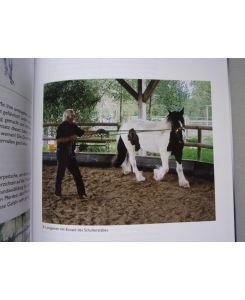 Die Schiefen-Therapie : Pferde geraderichten mit System