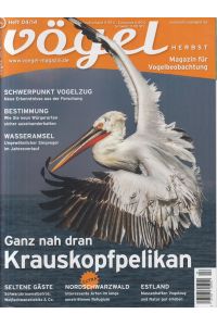 Vögel. Magazin für Vogelbeobachtung. Krauskopfpelikan