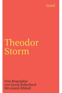Theodor Storm: Eine Biographie. Mit einem Bildteil (insel taschenbuch)