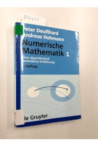Eine algorithmisch orientierte Einführung (De Gruyter Lehrbuch)