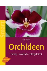 Orchideen: Farbig, exotisch, pflegeleicht