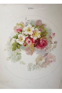 Zartfarbige Blumenranken fur Kunstgewerbliche Verzierung. Mit 8 chromlithographierten Tafeln.