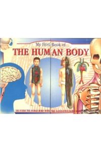My first book of the human body. See inside the human body with this fascinating early learning guide
