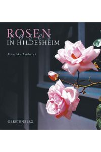 Rosen in Hildesheim / Franziska Lenferink