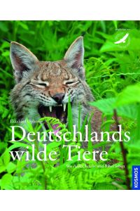Deutschlands wilde Tiere: Wo Adler, Dachs und Biber leben  - Wo Adler, Dachs und Biber leben