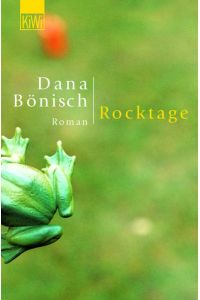 Rocktage: Roman