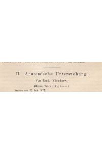 Anatomische Untersuchung. IN: Virchows Arch. path. Anat. , 75, S. 333 - 348, 1 lithografische Tafel, 1879, Br.