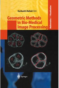 Geometric methods in bio-medical image processing.   - (=Mathematics and visualization).