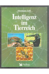 Intelligenz im Tierreich  - / Abenteuer Erde