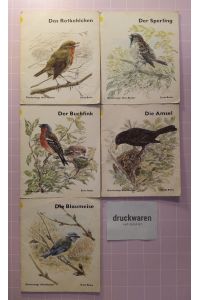Diesterwegs Mini-Bücher: Unsere Vögel [5 Hefte].   - Die Blaumeise / Die Amsel / Der Buchfink / Der Sperling / Das Rotkehlchen.
