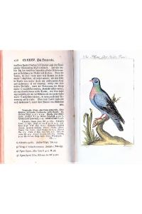 Naturgeschichte der Vögel. Bd. 6: Rebhühner, Wachteln, Tauben u. a.