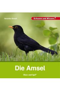 Die Amsel: Schauen und Wissen!