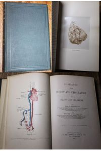 Diseases of the heart and circulation in infancy and adolescence. Illustrated with Photographs and wood engravings