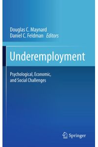 Underemployment  - Psychological, Economic, and Social Challenges