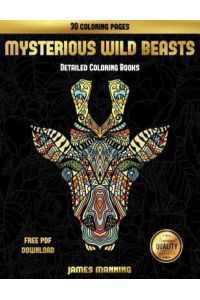 DETAILED COLORING BKS (MYSTERI (Detailed Coloring Books, Band 14)
