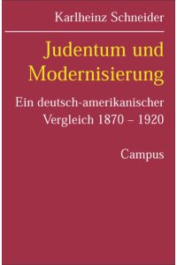 Judentum und Modernisierung  - Ein deutsch-amerikanischer Vergleich 1870-1920