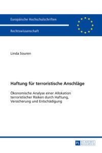Haftung für terroristische Anschläge  - Ökonomische Analyse einer Allokation terroristischer Risiken durch Haftung, Versicherung und Entschädigung