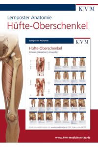 Lernposter Anatomie-Muskulatur  - Region Hüfte-Oberschenkel
