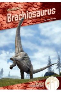 BRACHIOSAURUS (Dinosaurs: Dash!, Level 1)