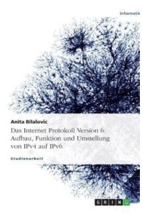 Das Internet Protokoll Version 6: Aufbau, Funktion und Umstellung von IPv4 auf IPv6
