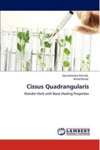 Cissus Quadrangularis: Wonder Herb with Bone Healing Properties