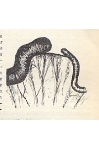 Ein operativ geheilter Fall von kongenitaler Dünndarmatresie. IN: Zbl. Chir. , 1911, 38/15, S. 532-535, 1 Fig. , Br.