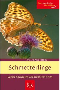 Schmetterlinge  - Unsere häufigsten und schönsten Arten