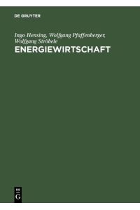 Energiewirtschaft  - Einführung in Theorie und Politik