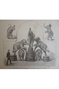 Holzstich - Harry Lockhart's dressierte Elefanten.