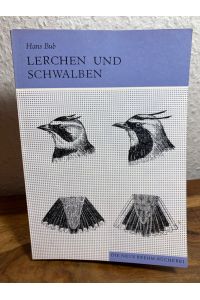 Kennzeichen und Mauser europäischer Singvögel, 1. Teil : Lerchen und Schwalben. (Alaudidae und Hirundinidae).