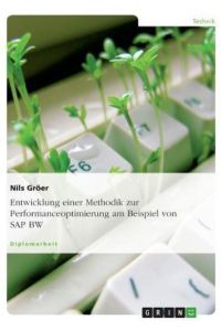 Entwicklung einer Methodik zur Performanceoptimierung am Beispiel von SAP BW