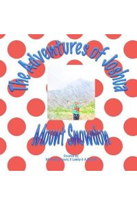 The Adventures of Joshua Mount Snowdon: Mt Snowdon