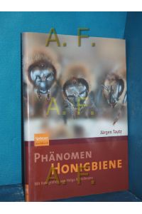 Phänomen Honigbiene  - Mit Fotogr. von Helga R. Heilmann / Spektrum-Akademischer-Verlag-Sachbuch