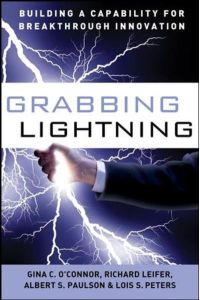 Grabbing Lightning  - Building a Capability for Breakthrough Innovation