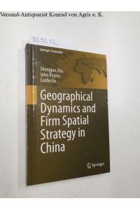 Geographical Dynamics and Firm Spatial Strategy in China (Springer Geography)